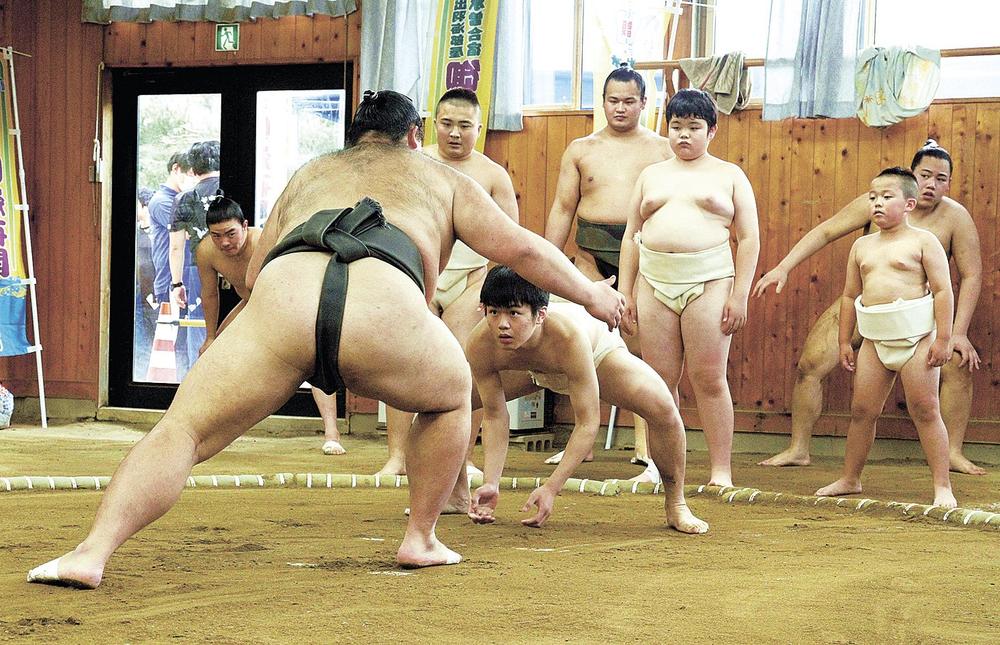 こども事典大百科【スポーツ】 大相撲入門｜商品情報｜タカラ