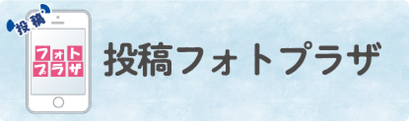 フォトプラザ