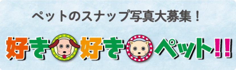 ペットの写真