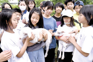 飼育している羊が産んだ２頭を抱く児童