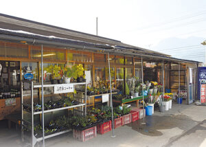 お盆の売り出し ９～１７日に開催 　ＪＡ大北　アルプス一番松川農産物直売所