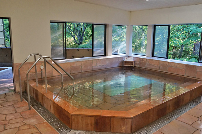 ５の付く日は ポイント２倍 　竜島温泉せせらぎの湯