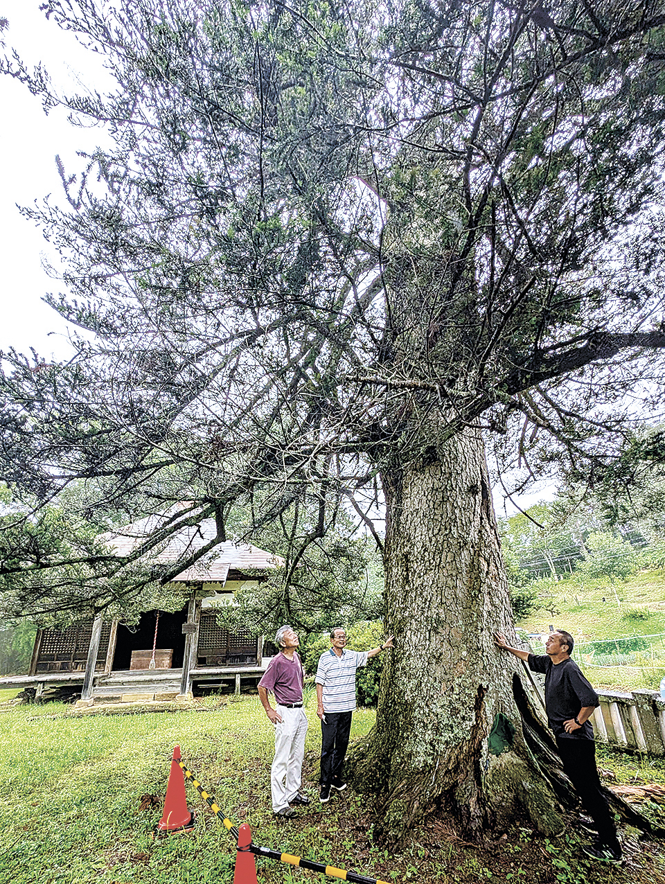 ej08120073.jpg?20250725