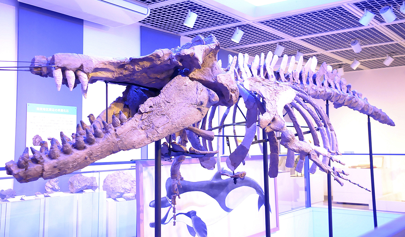 202509090037.jpg?20250725