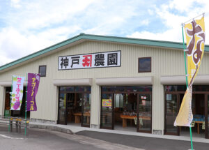 桔梗ケ原の甘い ブドウ直売好評 　神戸農園