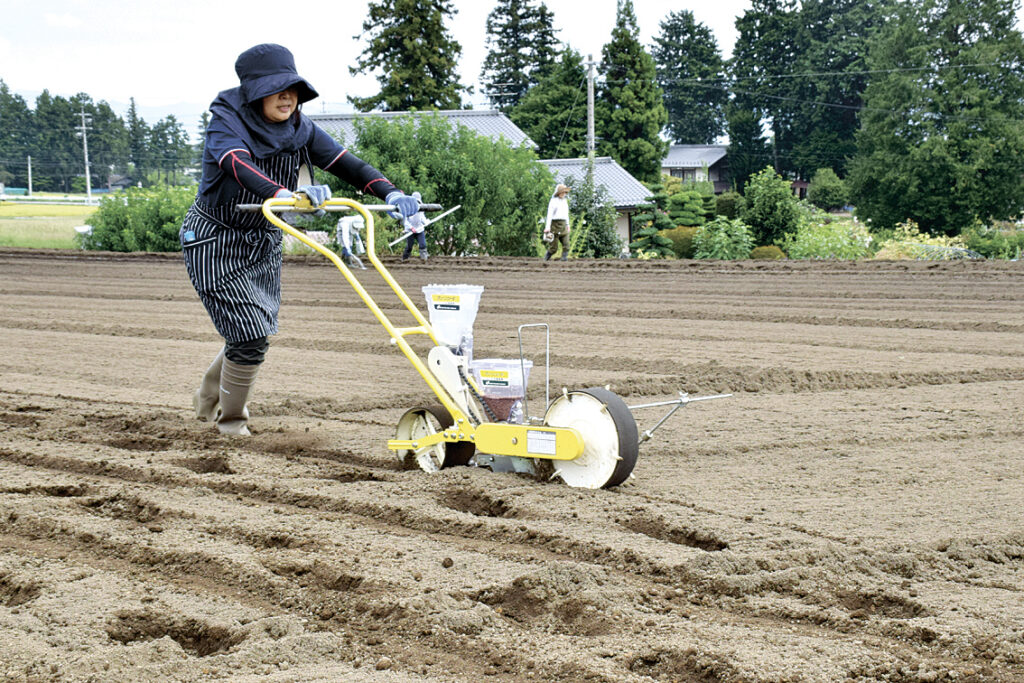 ふかふかの土に牧大根の種をまくメンバー