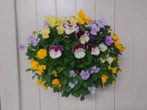 初めても安心の 体験教室を開催  ナカツタヤガーデンストリート