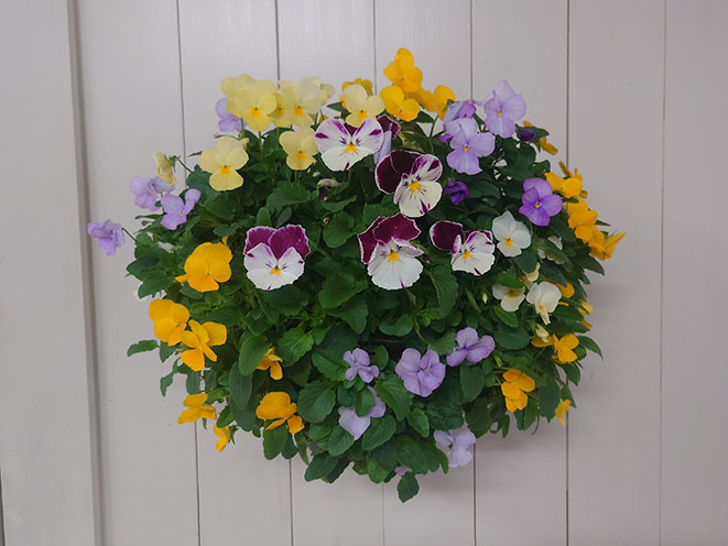 初めても安心の 体験教室を開催 　ナカツタヤガーデンストリート