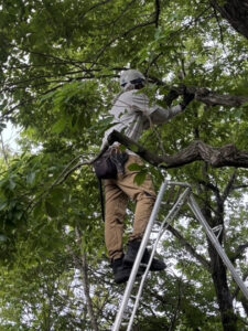 冬もやります 〝庭じまい〟 　綿半ソリューションズ