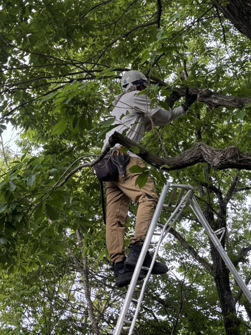 冬もやります 〝庭じまい〟 綿半ソリューションズ