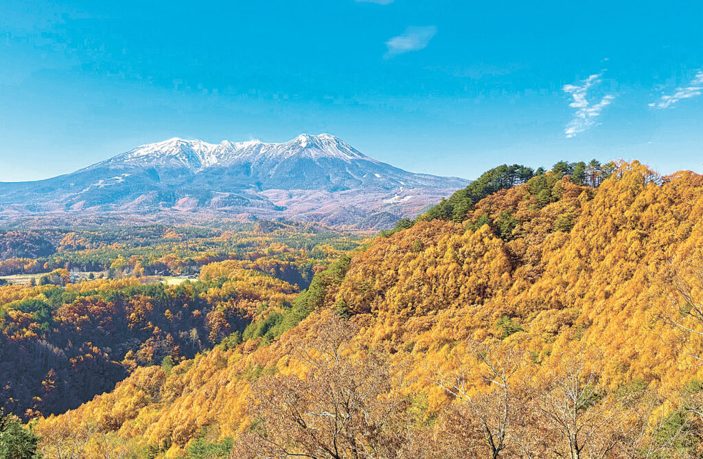 黄色に染まったカラマツが御嶽山麓を覆い、錦模様を描いている（１１日、開田高原の九蔵峠から）