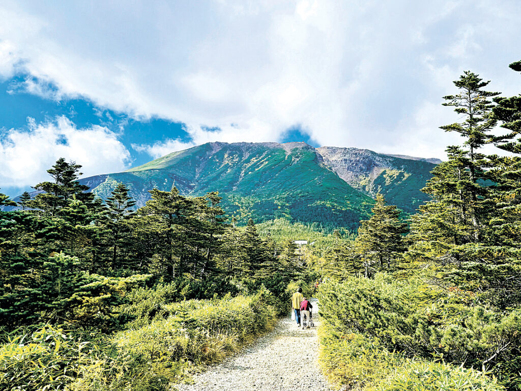 王滝村側の登山口・田の原から望む御嶽山（昨年９月）