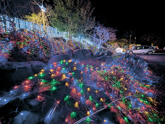 カラフルに点滅し訪れた人の目を引くやまなみ荘の電飾