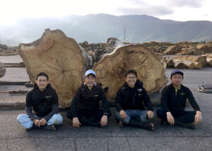 庭木の伐採に 最適な季節 　安曇野グリーン