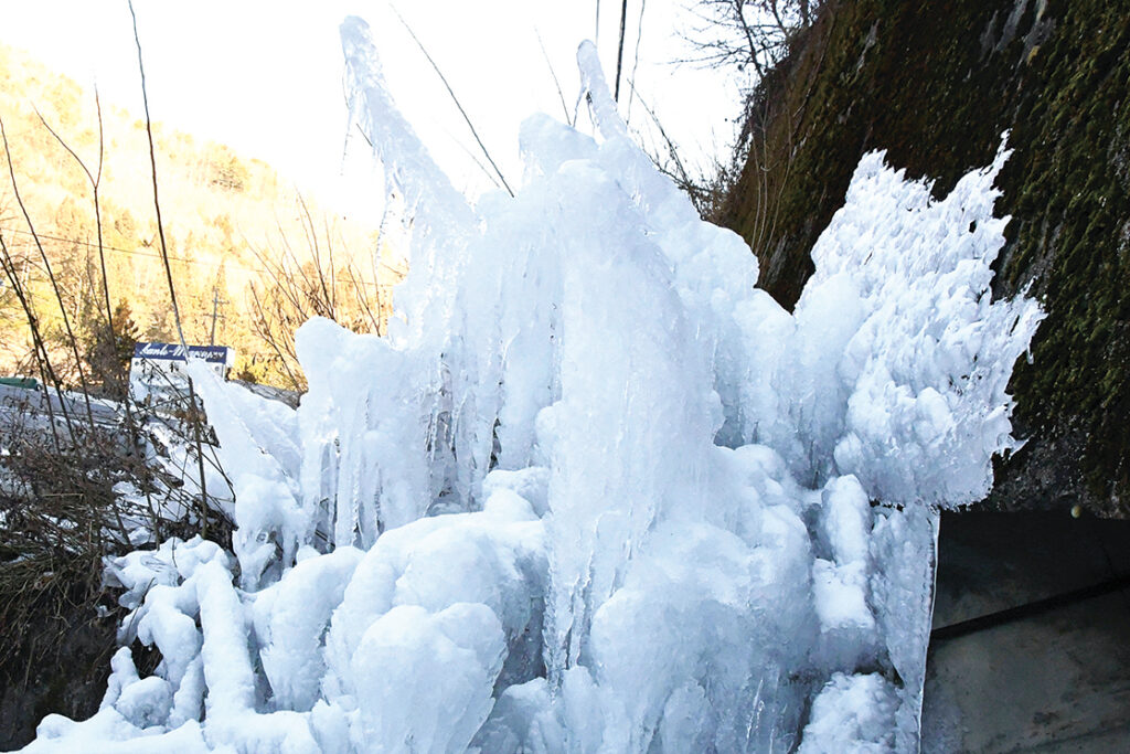 厳しい冷え込みで凍り付いたえん堤の草木