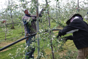 地域に密着した さまざまな仕事 　安曇野シルバー人材センター
