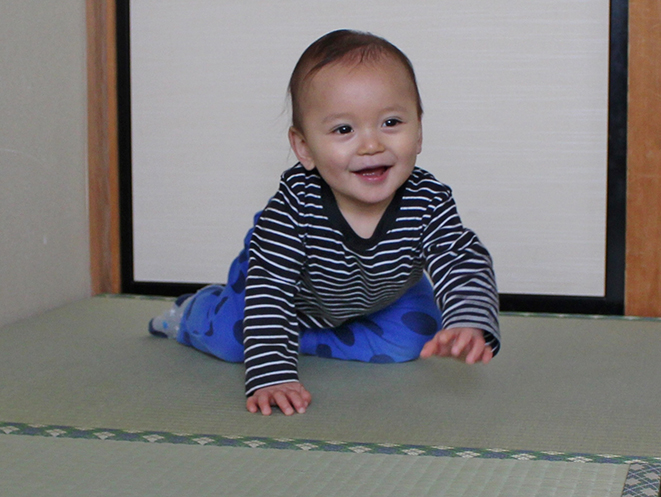 春の新生活は 新しい畳で 　村松畳店